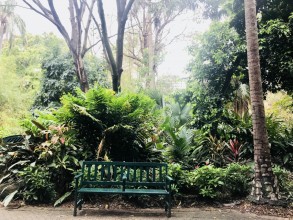 Jardin Botanique Brisbane